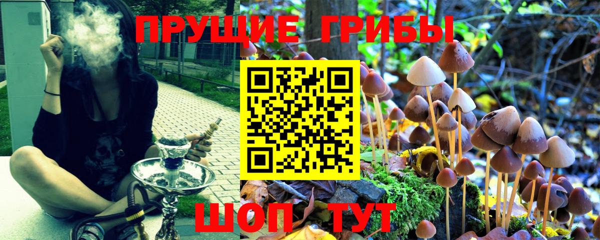 Вышний Волочёк  купить закладку  Галлюциногенные грибы Psilocybe  Вход с VPN  Псилоцибиновые грибы мицелий 