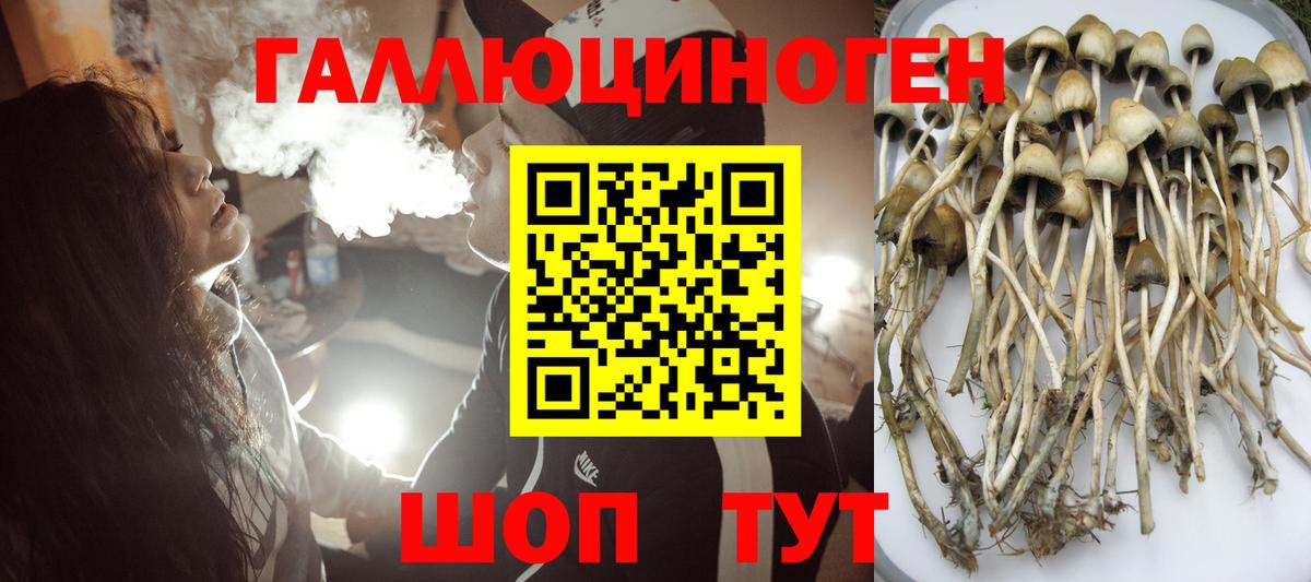 Галлюциногенные грибы MAGIC MUSHROOMS Вышний Волочёк